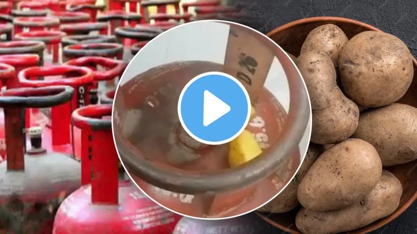 kitchen Jugaad Video : बटाटा सिलिंडरला एकदा घासून पाहा; ‘या’ मोठ्या समस्येतून होईल सुटका